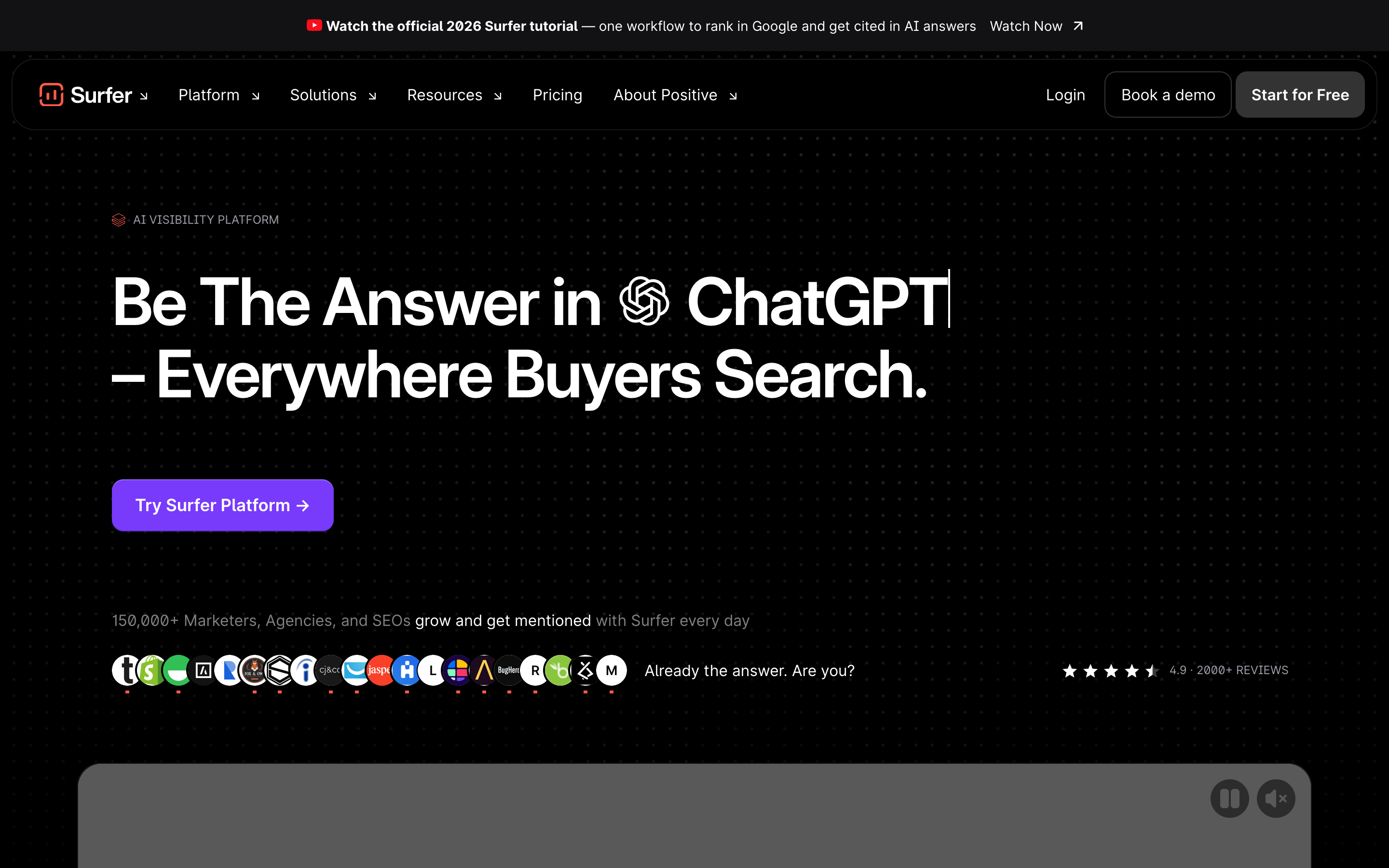 Positive Surfer homepage: Google + AI visibility positioning